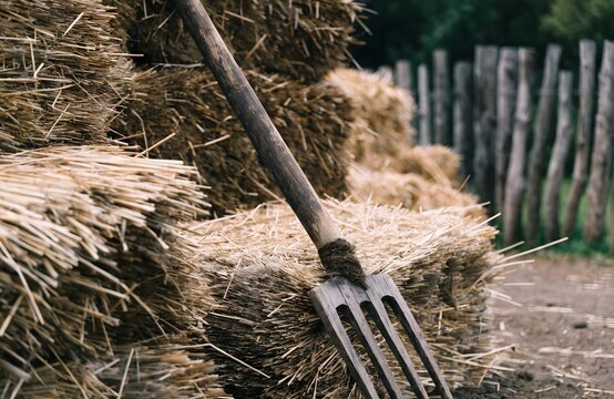 Fork Tool Handling Hay Bales In Rustic Outdoor Farm Setting