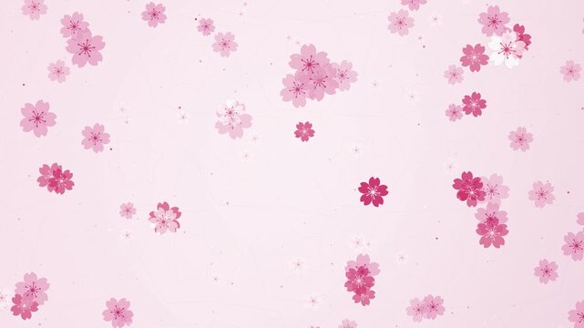 Pink cherry blossoms falling softly on a light pastel background for spring season greeting