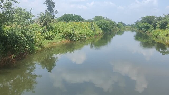   Serene water canal flowing through lush green vegetation in countryside of Jharkhand with perfect mirror reflex