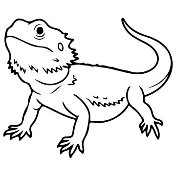 vector illustration of a lizard