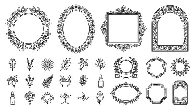 Ornate Floral Frames and Botanical Elements Collection