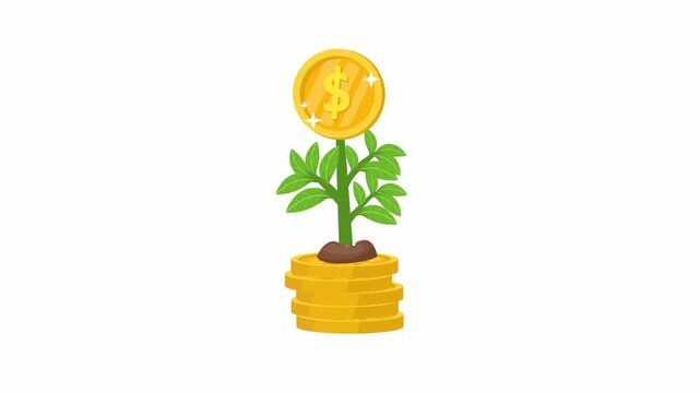 Gold coin plants growing from stacks of money on white background