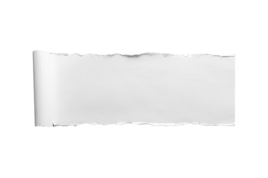 Long white paper banner with rolled left end and deckled edges