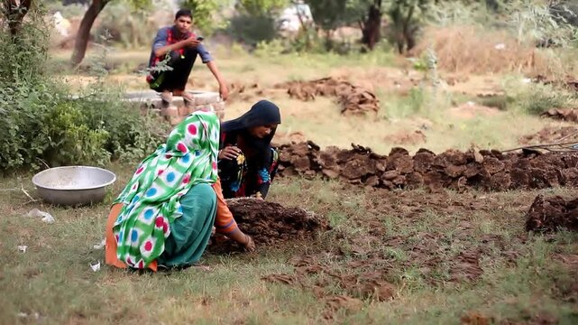 Indian women making cow dung cakes outdoor in the nature which use as bio fuel energy.