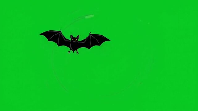 Flying Halloween bat animation chroma key