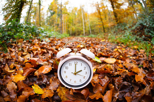 End of daylight saving time in autumn, winter time changeover, alarm clock fall back switch, colorful foliage in forest