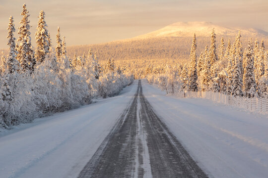 Rural road and forest under snow