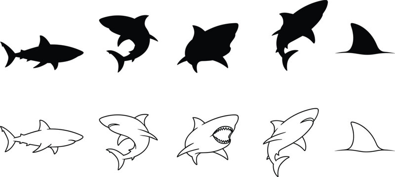 Shark Species Swimming Open Mouth Teeth Dorsal Fin Solid Silhouette and Line Art Vector Set