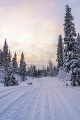 Obraz premium Scenic landscape of rural road with snow