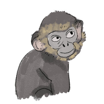 Silly monkey hand-drawn illustration