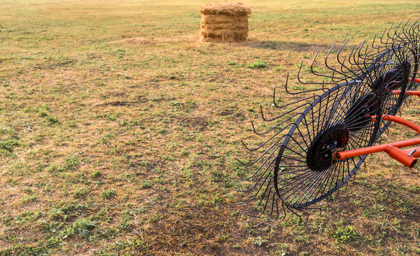wheel rake set against a field of mown grass, an agricultural implement used to rake cut grass into windrows before baling; copy space regarding livestock fodder preparation