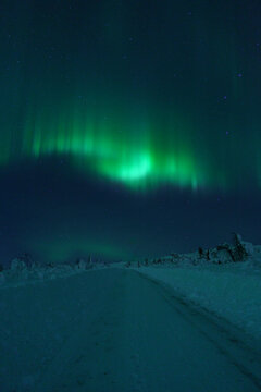 Snowy landscape under northern lights at night