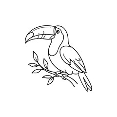 Tropical toucan bird perched on a branch illustration hand drawn line art style wildlife nature study for educational materials and exotic animal design projects. © Mr WaQaS