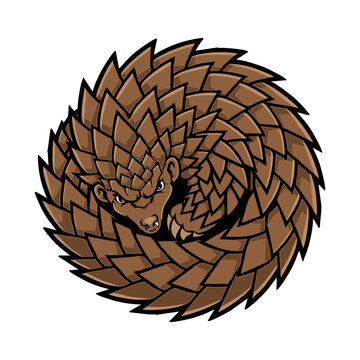 A vector illustration of a curled-up pangolin mascot, complete with detailed brown scales.