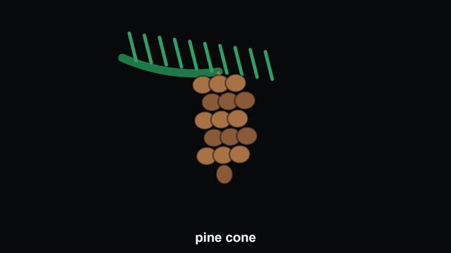 Pine Cone Christmas Decoration Animated Icon