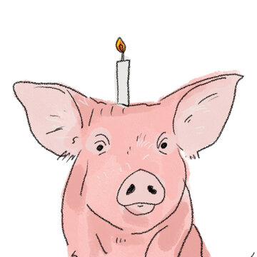 Silly animal pig babi ngepet illustration