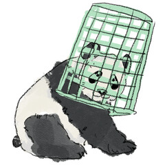 Silly funny animal panda illustration © Ciput