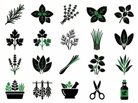 Assorted culinary herbs and organic plant collection in black and green flat style for kitchen and cooking applications.