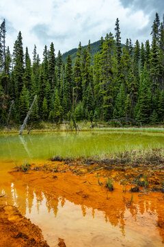 Paint Pots mineral springs with vivid colors in Kootenay National Park
