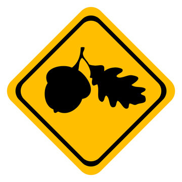 Icono con dibujo sencillo de una se&ntilde;al con forma de diamante de color amarillo con la silueta de una hoja de roble con semilla de bellota o nuez en una rama de &aacute;rbol	