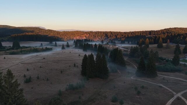 Aerial view of low morning mist rolling over an alpine meadow at sunrise.Stunning 4K drone shot flying over a scenic mountain field covered in foggy mist with scattered pine trees during a beautiful g