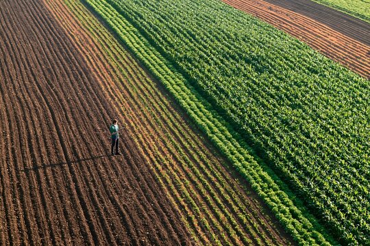 Aerial view of a lonely farmer standing among vibrant diagonal striped geometric field patterns