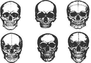 Fototapeta premium Black and White Human Skull Collection, Hand-Drawn Vintage Skull Illustration with Engraved Sketch, Grunge Halftone Grain, Stipple and Photocopy Effect.