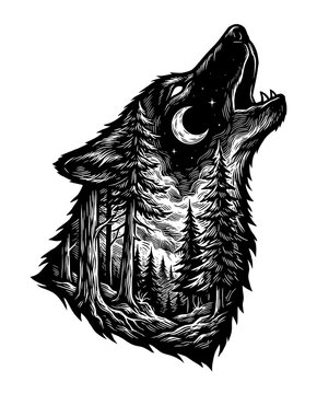 Vintage engraving double exposure silhouette of a howling wolf with pine forest and crescent moon night landscape inside, isolated transparent background.