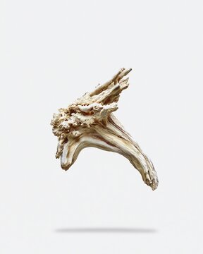 Dry twisted driftwood piece floating on light gray background