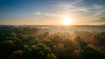 Fototapeta premium Aerial view of a lush green forest landscape during a beautiful golden sunrise with morning mist