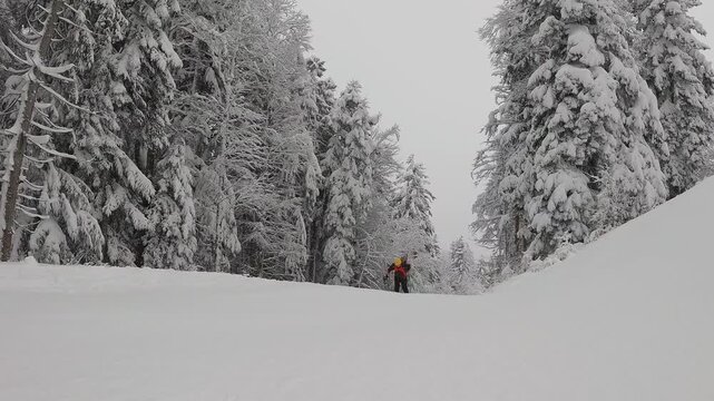Splitboarder Tours Through Deep Fresh Snow In Slow Motion