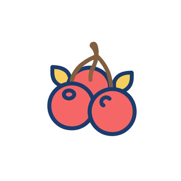 Cherry icon with leaves and stem