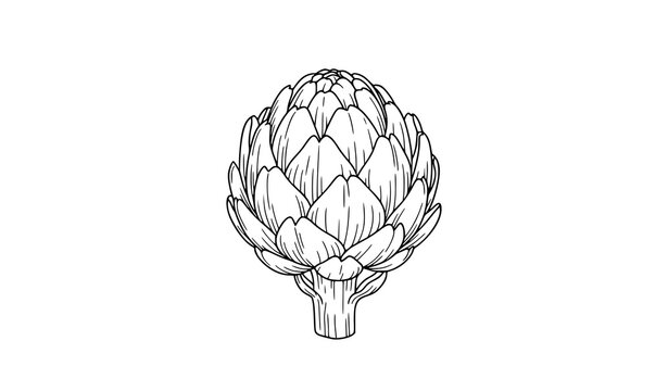 vector illustration of an egg on white background
Artichoke Vegetable Coloring Page Outline Vector