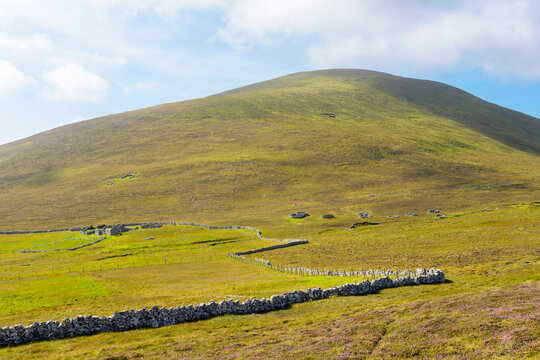 Green hillside with stone wall planting bed