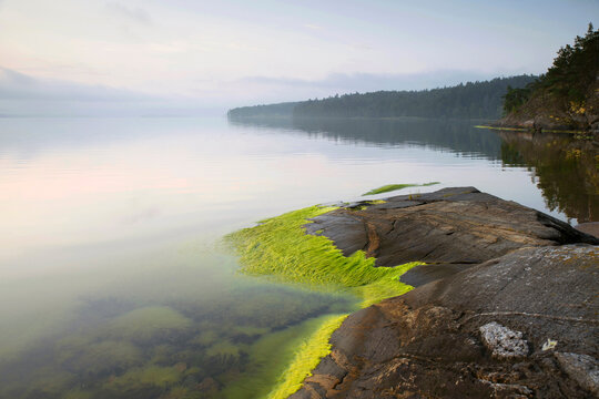 Astrikefjarden bay next to rocky coastline