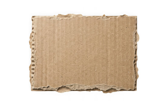 A piece of torn corrugated cardboard with rough edges, isolated on transparent background