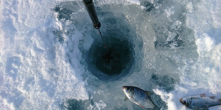 Ice fishing hole with fresh catch of fish on snowy frozen lake surface, winter angling activity