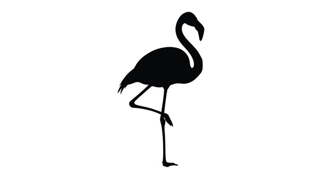 A flamingo stands in profile depicted as a black silhouette