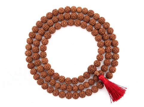 Rudraksha prayer beads arranged in a circle on white background