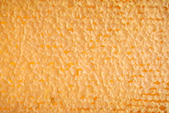 Honeycombs filled with honey, sealed with wax caps, close-up.