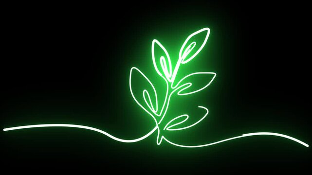 Continuous Line Drawing Animation Of Neon Green Plant Branch With Leaves   