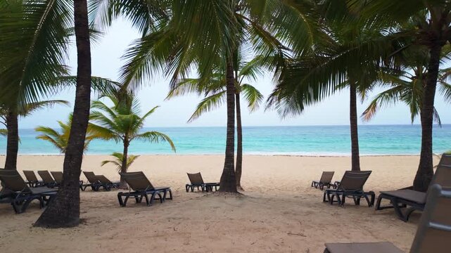 Tall coconut palm trees shading rows of empty loungers along the sandy coast of Bavaro Beach, Punta Cana, Dominican Republic