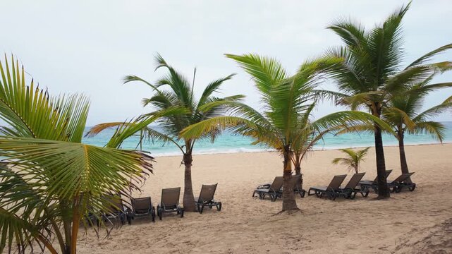 Tranquil summer vacation landscape showing a tropical palm tree, lounge chairs, and serene blue Caribbean Sea in the Dominican Republic