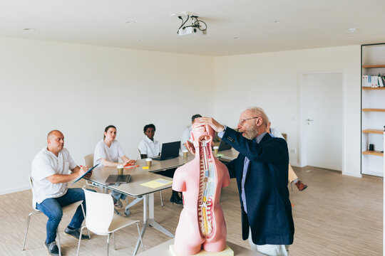 Anatomy Instructor Demonstrating Human Body Model to Medical Students