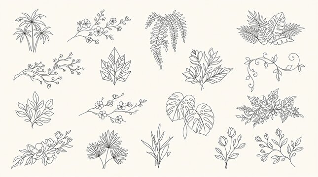 Set of botanical line art illustrations