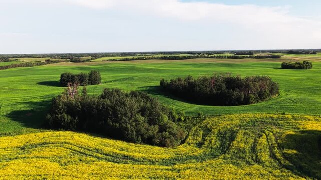 Scenic aerial view capturing green prairie farmland with distinct field tracks and scattered tree bluffs on a sunny day