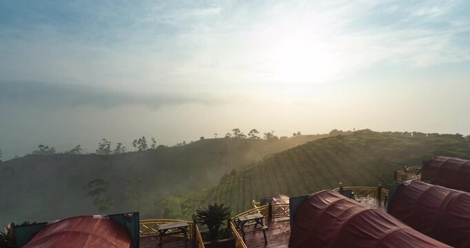 Timelapse of a foggy morning on a tea plantation hill