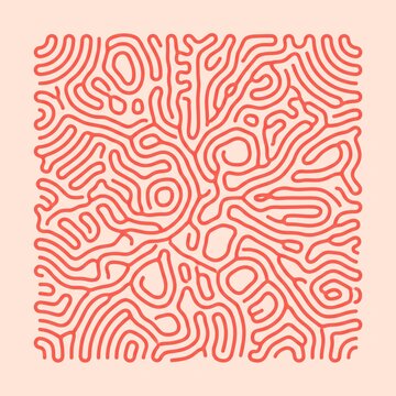 Abstract reaction diffusion pattern, organic coral line art illustration, red topographic maze texture on pink background, generative biological design