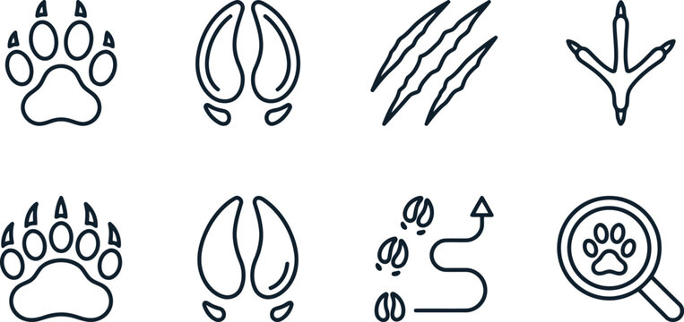 Set of various animal footprints and tracks in black and white line art with footprint wildlife magnifying movement