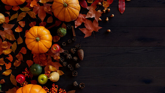 Hermoso bodeg&oacute;n oto&ntilde;al con variedad de calabazas, manzanas verdes y rojas, bayas y follaje seco sobre tabla de madera negra. Temporada de oto&ntilde;o. Estaci&oacute;n oto&ntilde;al octubre noviembres. Halloween, Sama&iacute;n